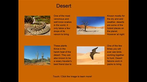 Four Desert Ecosystem Facts! for Windows 8 and 8.1