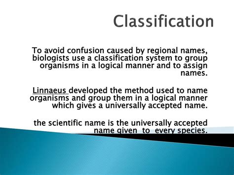 PPT - Classification PowerPoint Presentation, free download - ID:2241801