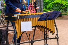 Xylophone Players Free Stock Photo - Public Domain Pictures