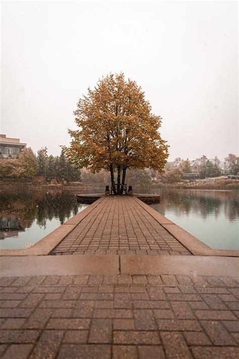 Images of Edina: Changing Seasons at Centennial Lakes Park | Edina