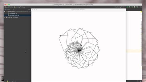 Turtle Python