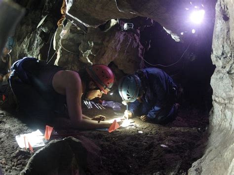 excavate bone fragments of a new humanoid species at Rising Star Cave in South Africa. A ne ...