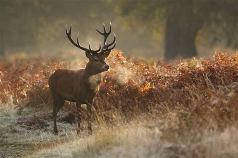 Autumn photography: capturing the season's colours - Photography Blog ...