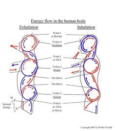 1000+ images about Subtle Body Anatomy on Pinterest | Chakras, Jeff ...