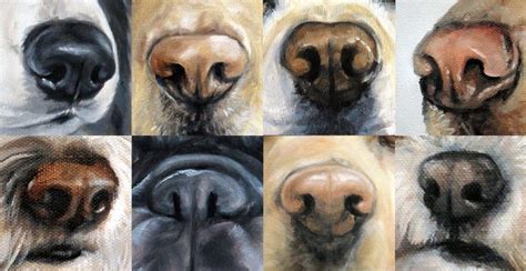 The Ultimate Guide on How to Paint Dog Noses | Dog portraits art, Dog portraits painting, Dog ...