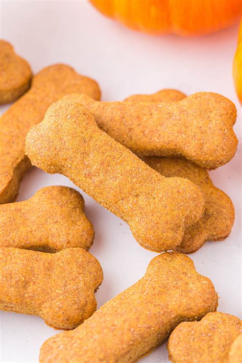 Easy Homemade Pumpkin Dog Treats Recipes | Besto Blog