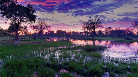 Wallpaper : nature, landscape, trees, forest, plants, water, clouds ...