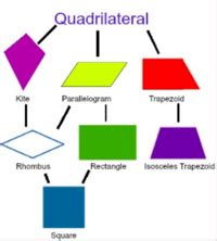 Chapter 7 Quadrilaterals Review | Geometry Quiz - Quizizz