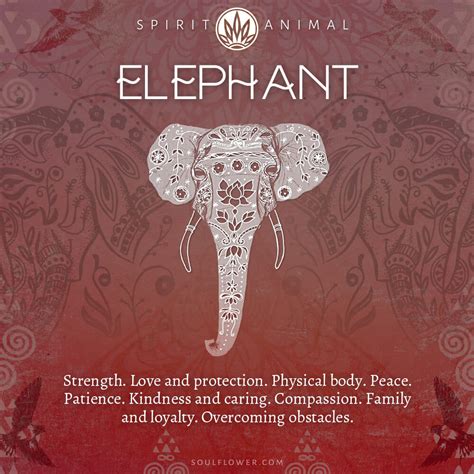 Elephant Symbolism - Elephant Spirit Animal - Soul Flower Blog