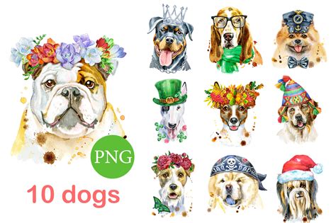 10 Watercolor Dog Portraits. Set 6 Graphic by andreichen74 · Creative Fabrica