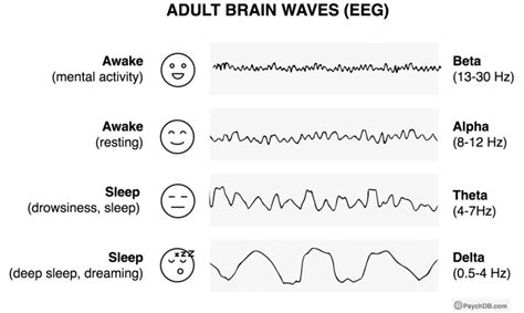 Polysomnography (PSG) - PsychDB