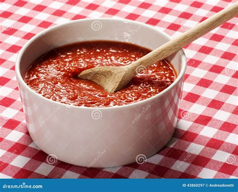Bowl of Homemade Fresh Tomato Puree Stock Image - Image of vegetable, sauce: 43860297