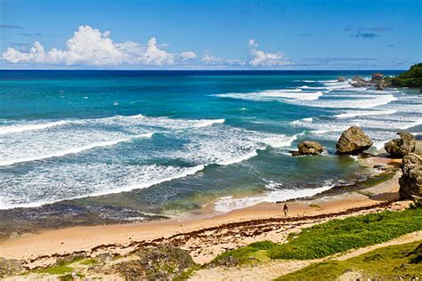 Bathsheba Barbados Stock Photos, Pictures & Royalty-Free Images - iStock