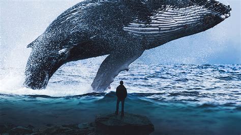 1920x1080px | free download | HD wallpaper: Blue Whale Dream 4K ...