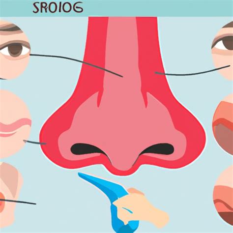 How Does a Stuffy Nose Work? Exploring the Anatomy and Physiology of ...