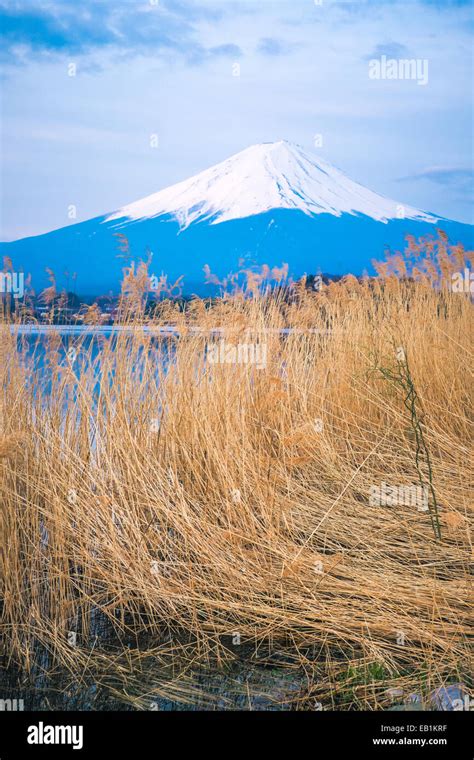 The beautiful mount Fuji in Japan at sunrise Stock Photo - Alamy