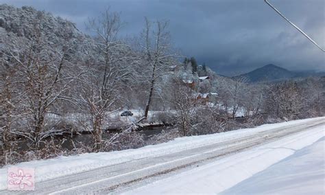 Carolyn in Carolina: Snowfall in Sylva Part 1