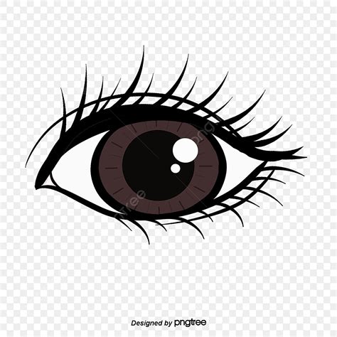 Eye PNG Transparent, Eye, Eye Drawing, Animation Eyes Drawing, Eye ...