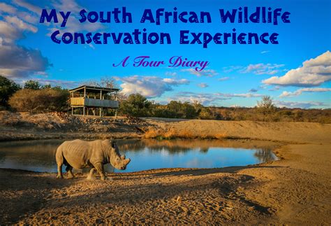 My South African Wildlife Conservation Experience: A Tour Diary - Volunteer Vacations | Discover ...