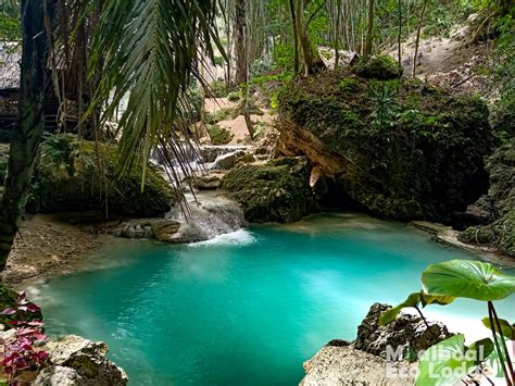 Tumalog Falls, Oslob Day Trips from Moalboal, Cebu, Philippines