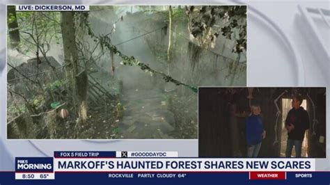 Creating the Markoff’s Haunted Forest experience | news.com.au — Australia’s leading news site