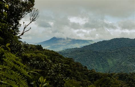 Santa Elena Cloud Forest Reserve: An Enchanting Wonderland | The Spunky Curl