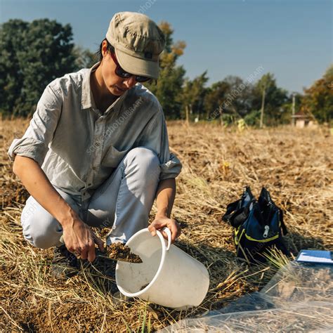 Soil scientist taking soil sample - Stock Image - F024/1715 - Science Photo Library