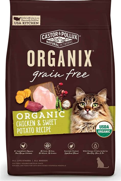 Best High Protein Cat Food: 11 Best Brands In January 2025