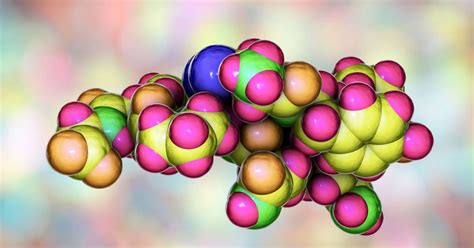 Endorphins and the chemistry of happiness - Time News