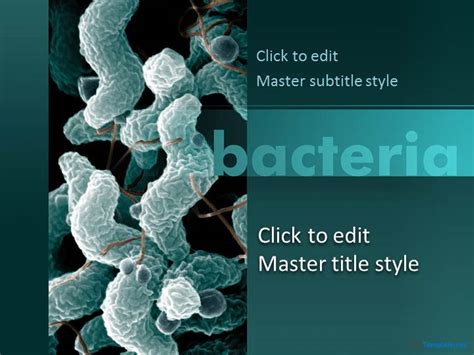 Free Bacteria PPT Template