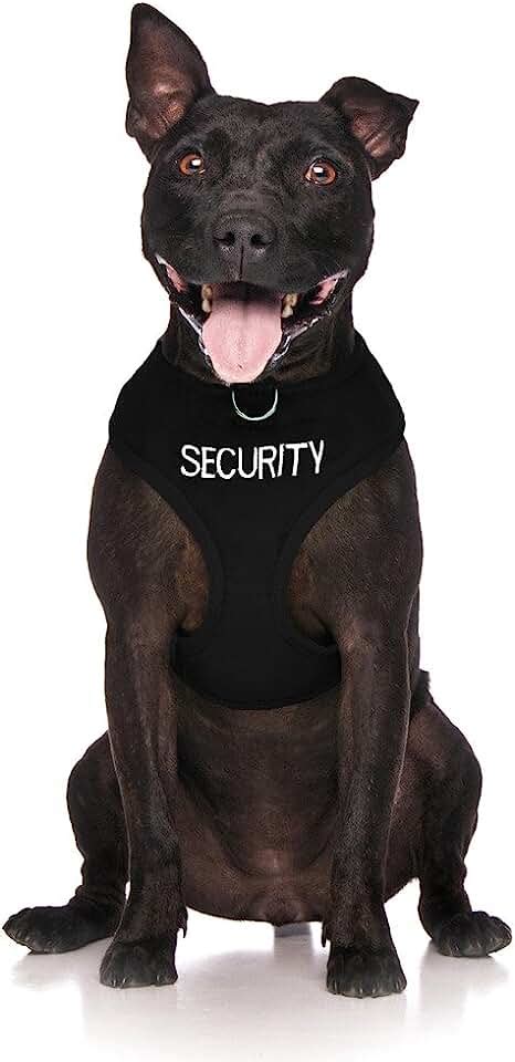 Amazon.com: dog security vest