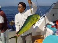 Loreto Fishing, Sportsfishing - Loreto Baja California - Mexbound.com Mexico Auto Insurance