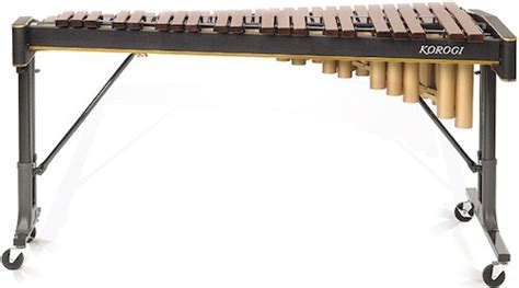 Top 11 Best Xylophone Brands On The Market 2024