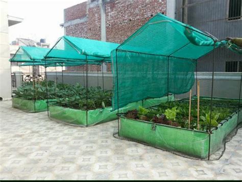 Rooftop Farming in Jaipur | ID: 15164561830