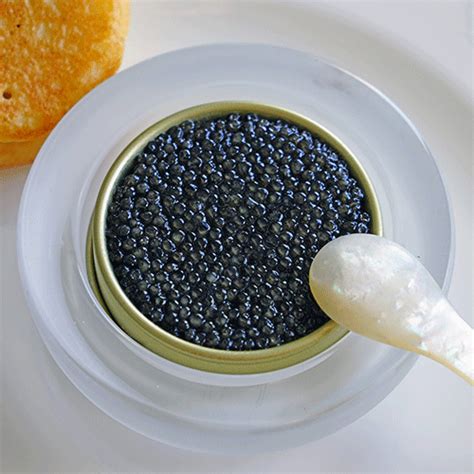 What is Caviar? Types, Taste, Cost, How to Serve, & More