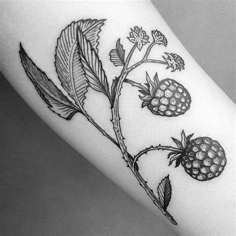 Illustrative style blackberries tattoo on the forearm.