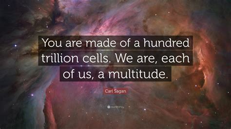 Carl Sagan Quotes (100 wallpapers) - Quotefancy