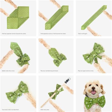 DIY No Sew Dog Bow Tie | Vanillapup | Diy dog collar, Dog bandana ...