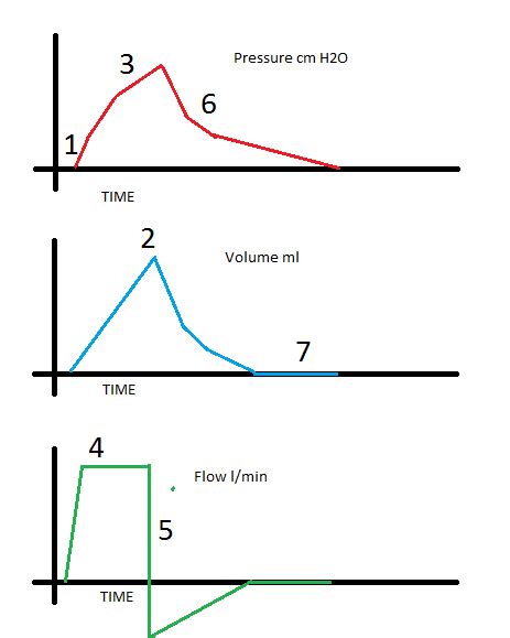 Mechanical Ventilation- Pressure/Volume/Flow loops - Critical Care Practitioner