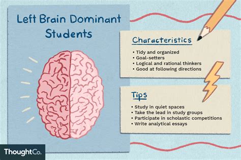 Left Brain Diagram