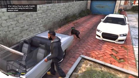 GTA V - Franklin and Dog GTA V Review - YouTube