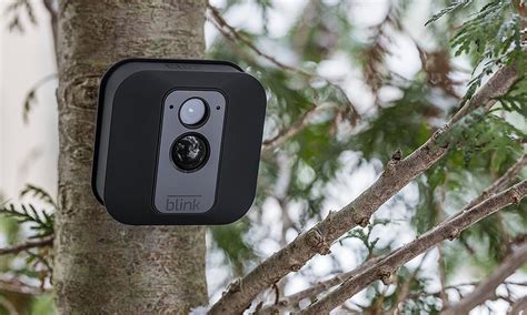 Blink XT Review: Good Budget Camera for Almost Every Situation | Tom's Guide