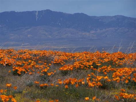 sand canyon country club santa clarita - Artie Ashton