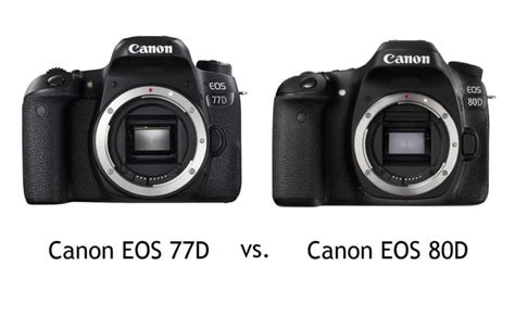 Canon EOS 77D vs. 80D: Alle wichtigen Unterschiede