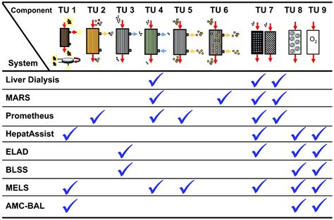 Artificial and bioartificial liver devices: present and future | Gut