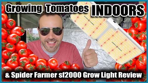 GROWING VEGETABLES INDOORS // Tomatoes and LED Grow Light Review - YouTube