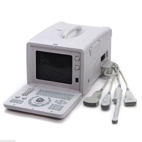 10'' Portable Ultrasound Scanner Machine Convex Viginal Probe 3 D Ultr