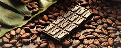 Where To Source The Best Indian Chocolates From | WhatsHot Pune