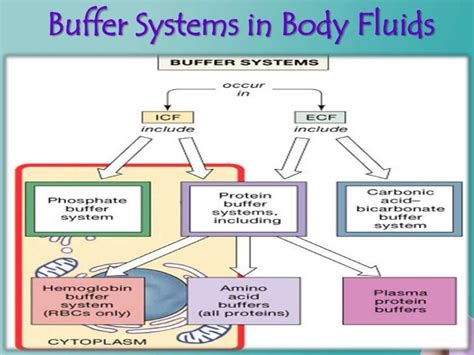 Buffer system