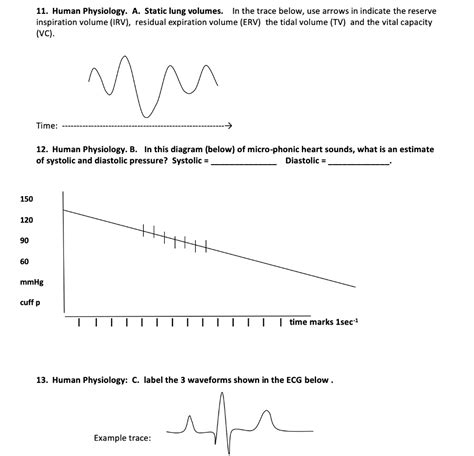 SOLVED: 11. Human Physiology: Static lung volumes: In the trace below ...